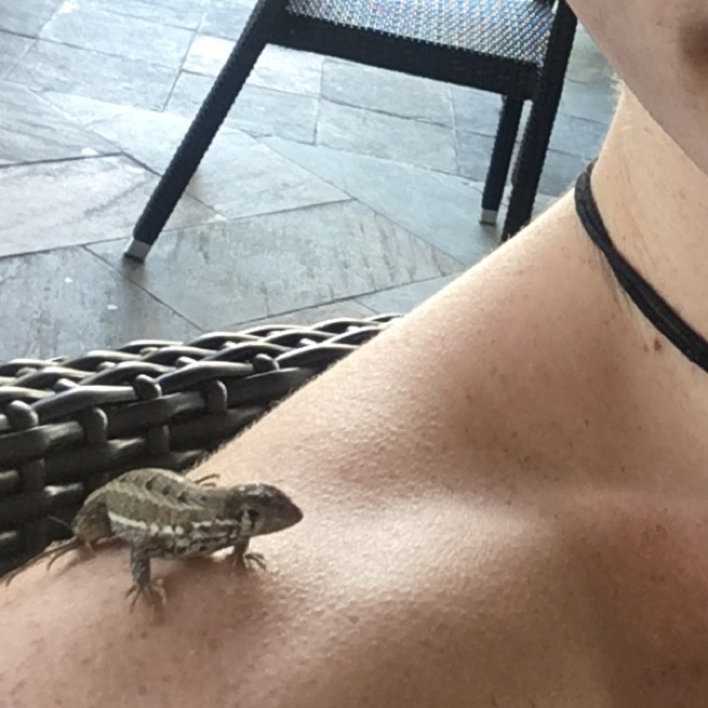 Meet your Posher, Ryan